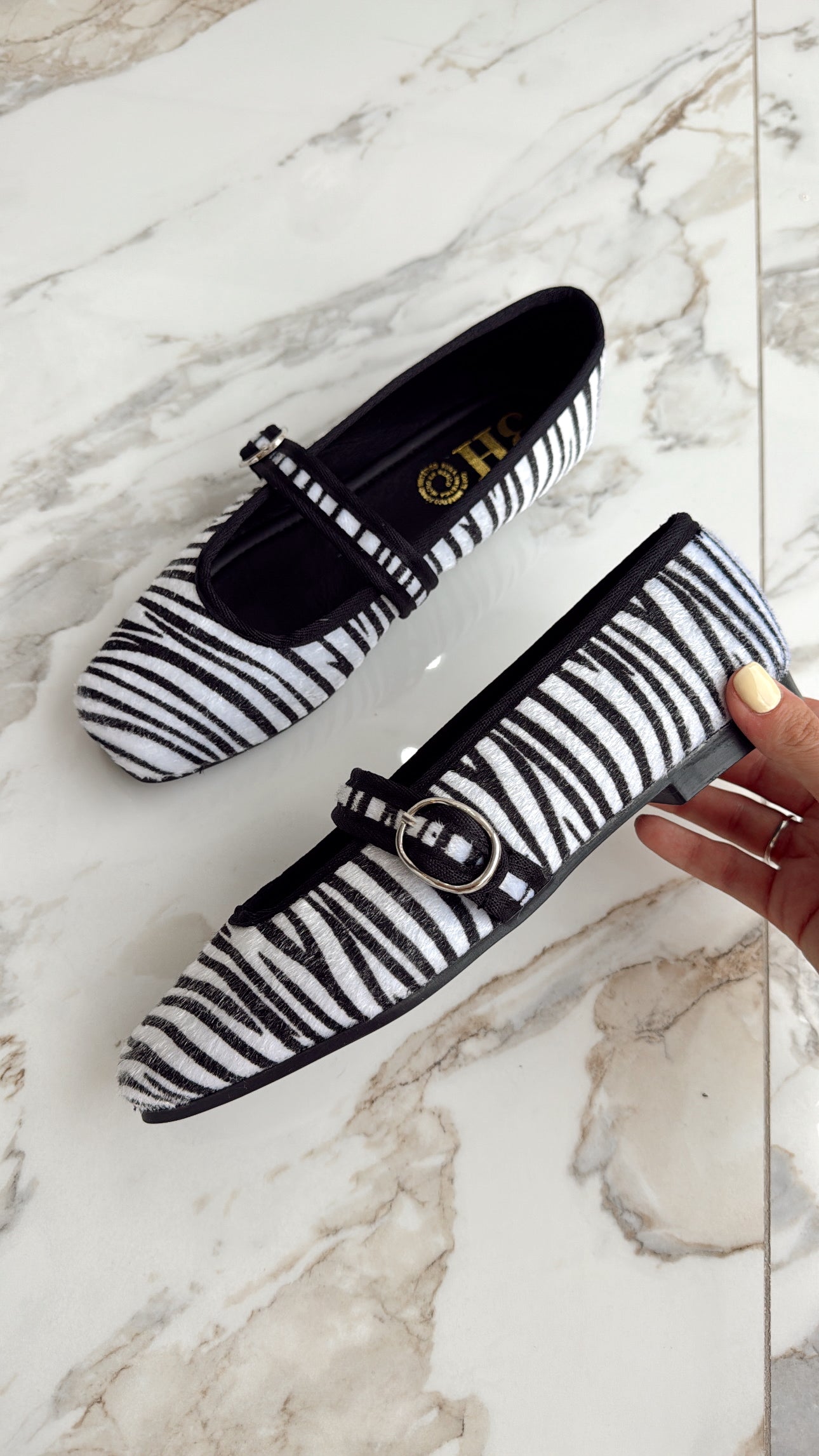 MARTINA ZEBRA