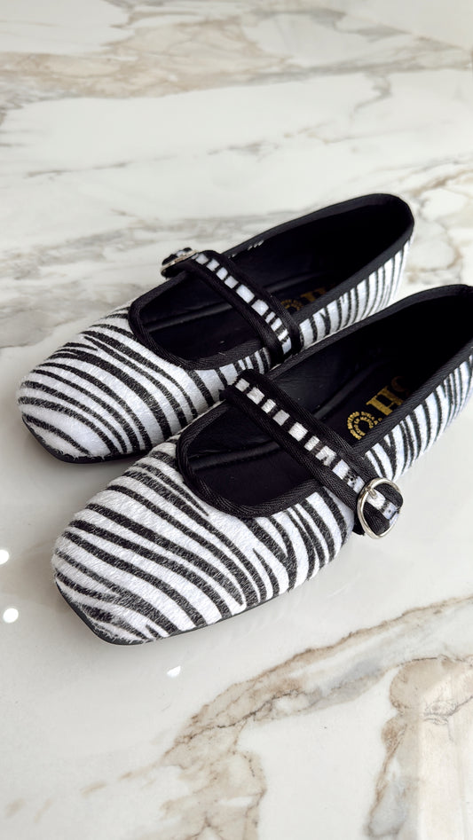 MARTINA ZEBRA