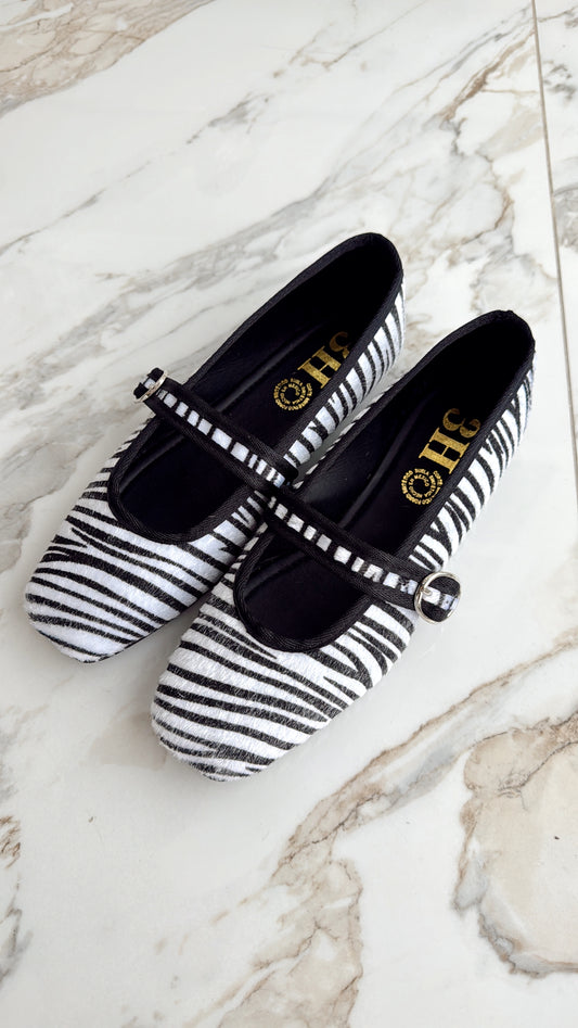 MARTINA ZEBRA